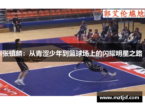 张镇麟：从青涩少年到篮球场上的闪耀明星之路