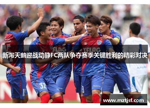 新泻天鹅迎战动静FC两队争夺赛季关键胜利的精彩对决