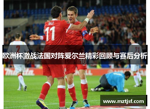 欧洲杯激战法国对阵爱尔兰精彩回顾与赛后分析