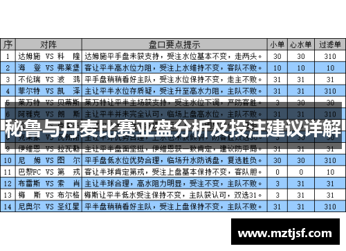 秘鲁与丹麦比赛亚盘分析及投注建议详解