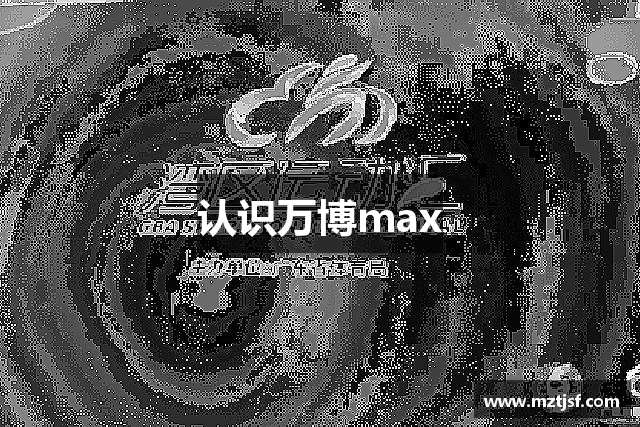 认识万博max